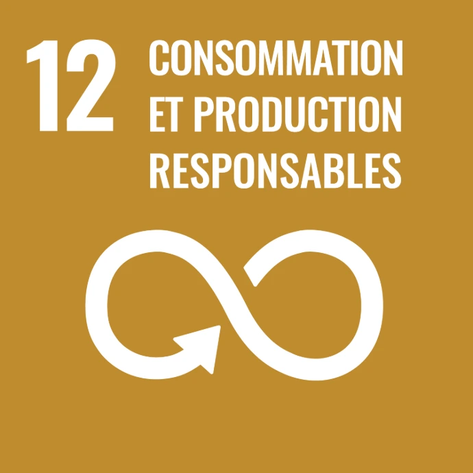 Objectif de développement durable n° 12 : consommation et production responsables